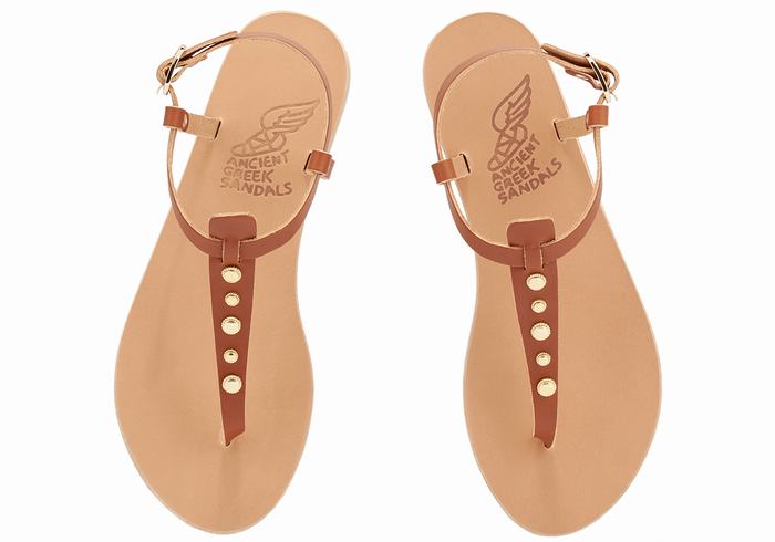 Sandales Bride Arrière Ancient Greek Sandals Lito Bee   | ETI-5445901